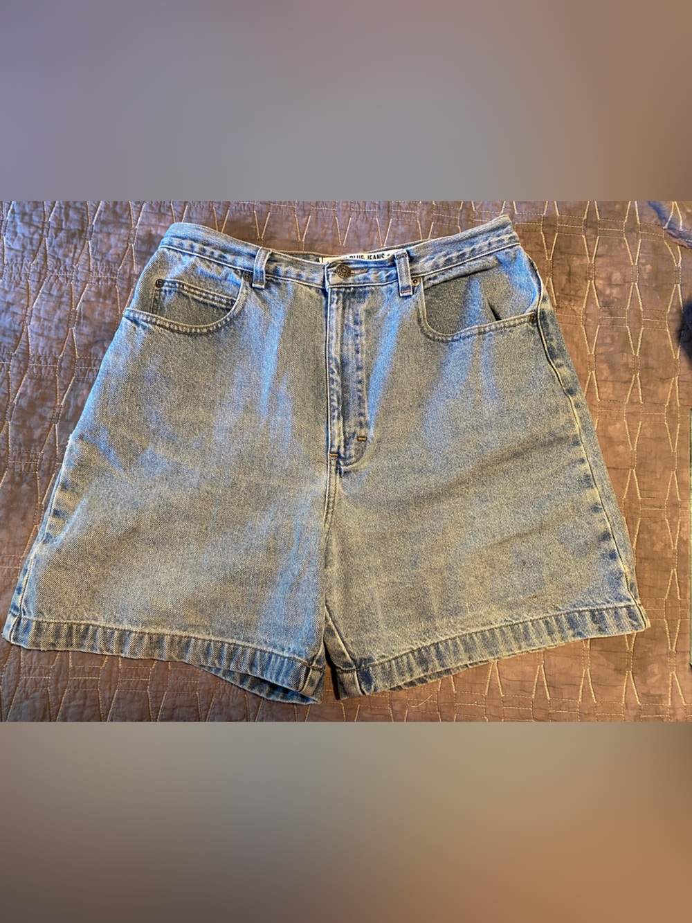 Y2K Gloria Vanderbilt Denim Shorts